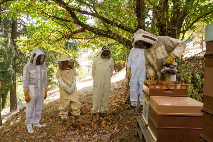 Atelier Agriculture - Apiculture à Pourchères – 2h