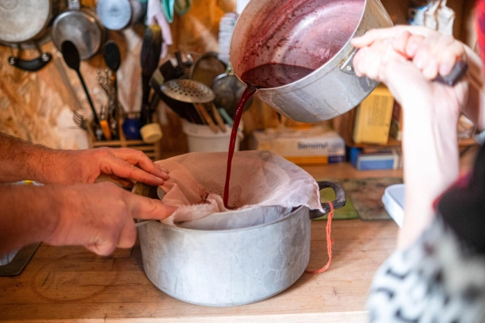 Atelier Textile - Teinture végétale à Pau – 3h