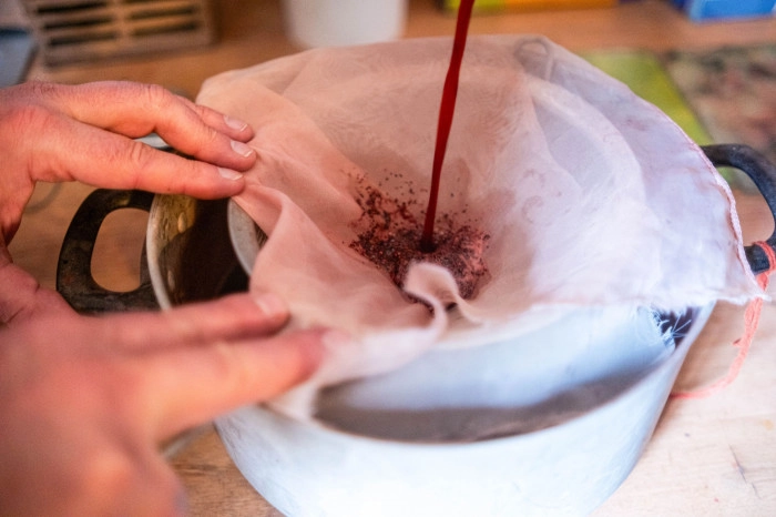 Atelier Textile - Teinture végétale à Pau – 3h