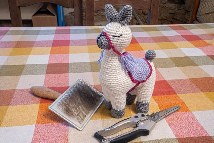 Atelier Agriculture - Filage du textile/Elevage à Le Poiré-sur-Vie – 3h