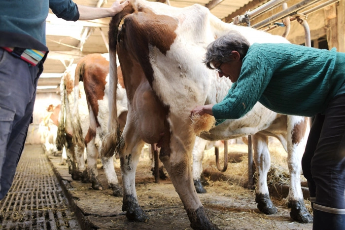 Atelier Agriculture - Fromagerie et crèmerie à Isigny-le-Buat – 3h