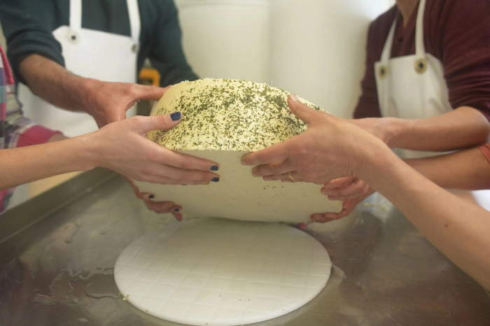 Atelier Agriculture - Fromagerie et crèmerie à Isigny-le-Buat – 3h