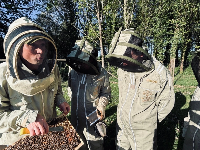 Atelier Agriculture - Apiculture à Héric – 3h
