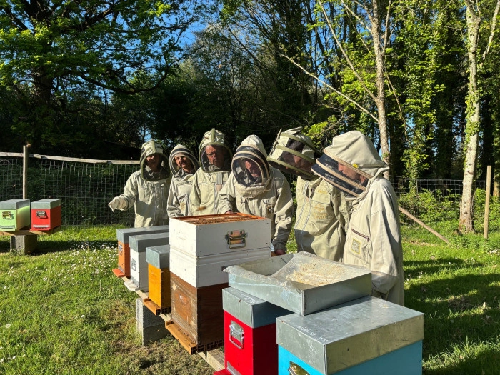 Atelier Agriculture - Apiculture à Héric – 3h