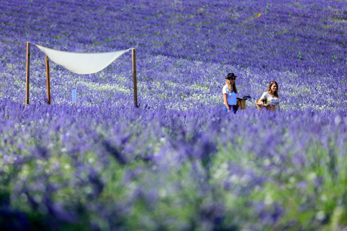 Atelier À manger - Maraîchage/Floriculture à Aix-en-Provence – 2h