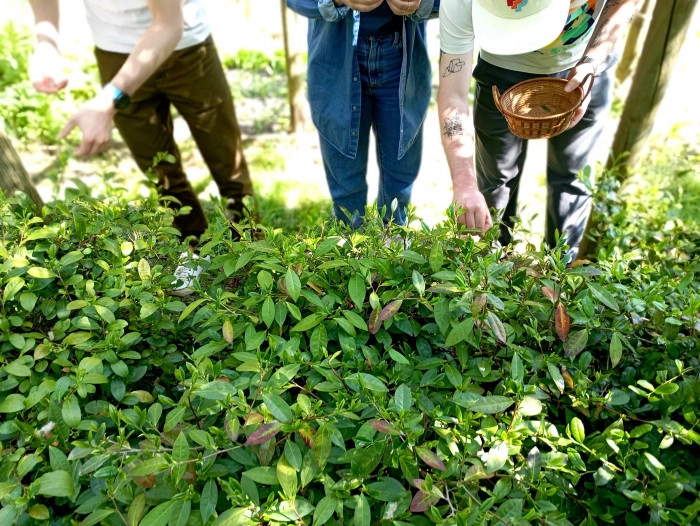 Atelier Agriculture - Maraîchage à Treffieux – 3h