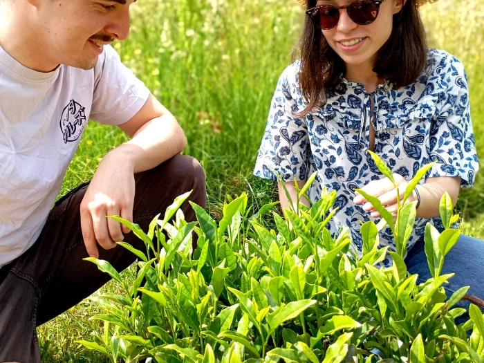 Atelier Agriculture - Maraîchage à Treffieux – 3h