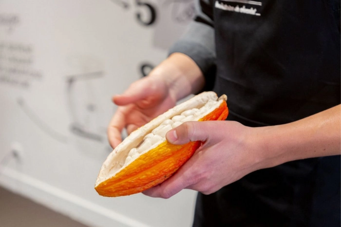 Atelier À manger - Chocolaterie et confiserie à Marseille – 2h