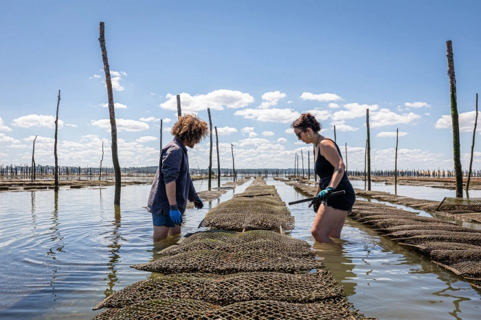 Atelier Agriculture - Ostréiculture à Gujan-Mestras – 5h
