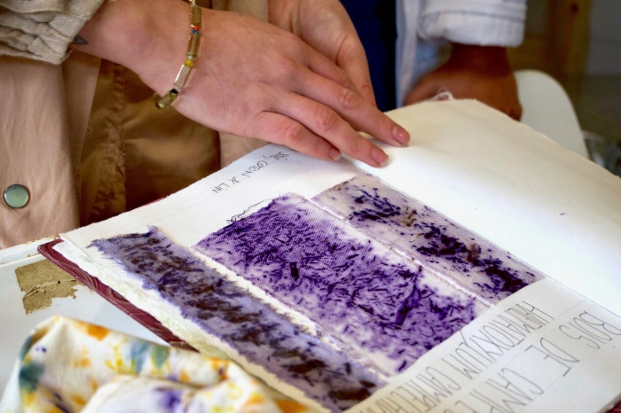 Atelier Textile - Teinture végétale à Tréguier – 3h