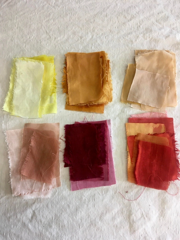 Atelier Textile - Teinture végétale à Tréguier – 3h