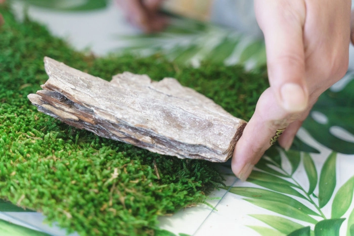 Atelier Végétal - Composition fleurs séchées à Angers – 2h