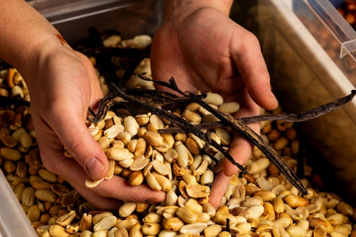 Atelier À manger - Chocolaterie et confiserie à Marseille – 2h