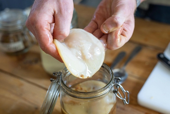 Atelier À boire - Fabrication de boissons fermentées à Bordeaux – 3h